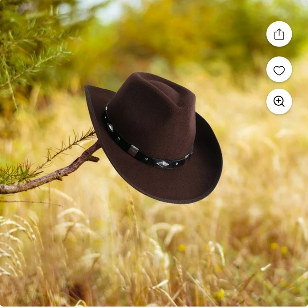 Brown Cowboy Hat with Black Band
